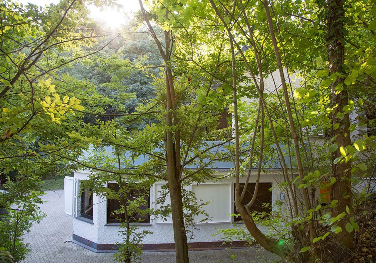 Villa An Der Loreley Sankt Goar Exteriér fotografie